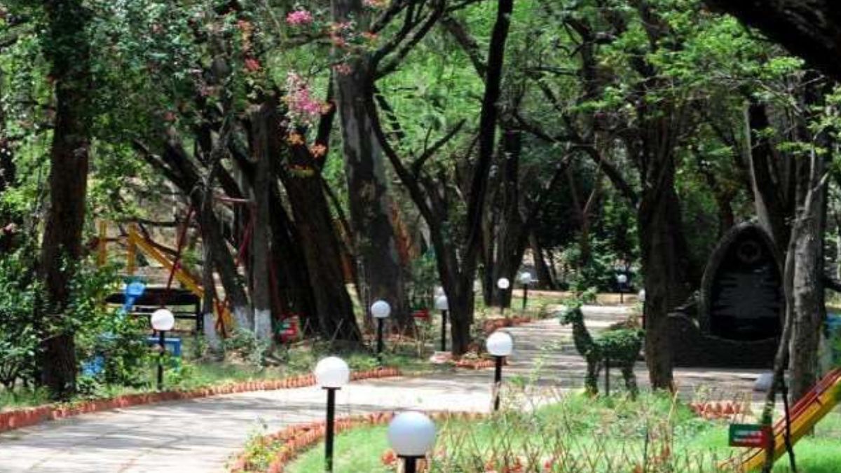 bagpat to get special park